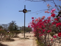 Mkiwa
