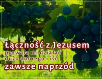 KROMKA SŁOWA na V Niedzielę Wielkanocną