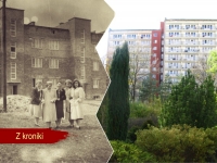 Z kroniki Zgromadzenia
