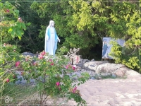 Uroczystość Wniebowzięcia Najświętszej Maryi Panny